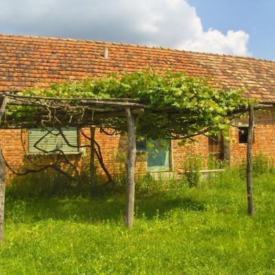 Cseri Porta - az építkezés képei