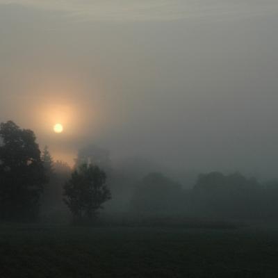 Szalafo 5