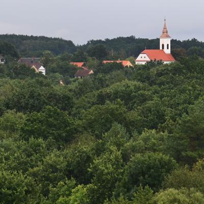 Szalafo 8
